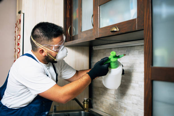 Best Pest Control Near Me  in Westville, OK