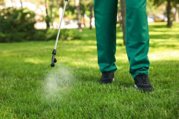Professional Pest Control in Westville, OK