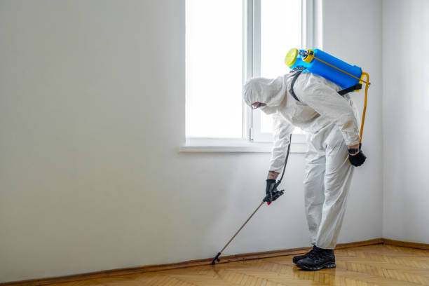 Best Pest Inspection Near Me  in Westville, OK