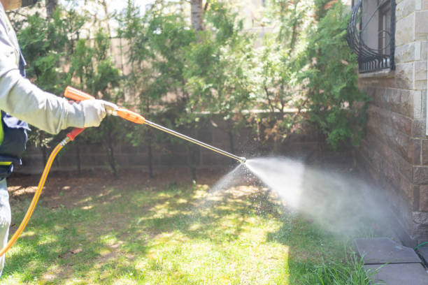 Best Pest Control Treatment  in Westville, OK